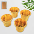 Set of four Valencia plastic flower pots for indoor and outdoor gardening