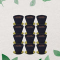 Complete set of Gugal Sambrani Havan cups with a complimentary burning holder.
