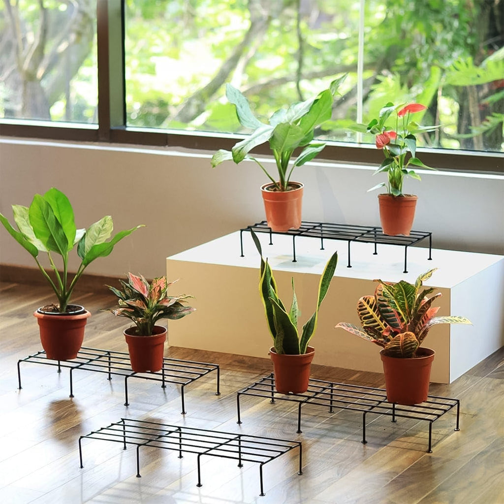 Close-up of sturdy metal rectangle flower plant stand for home gardening
