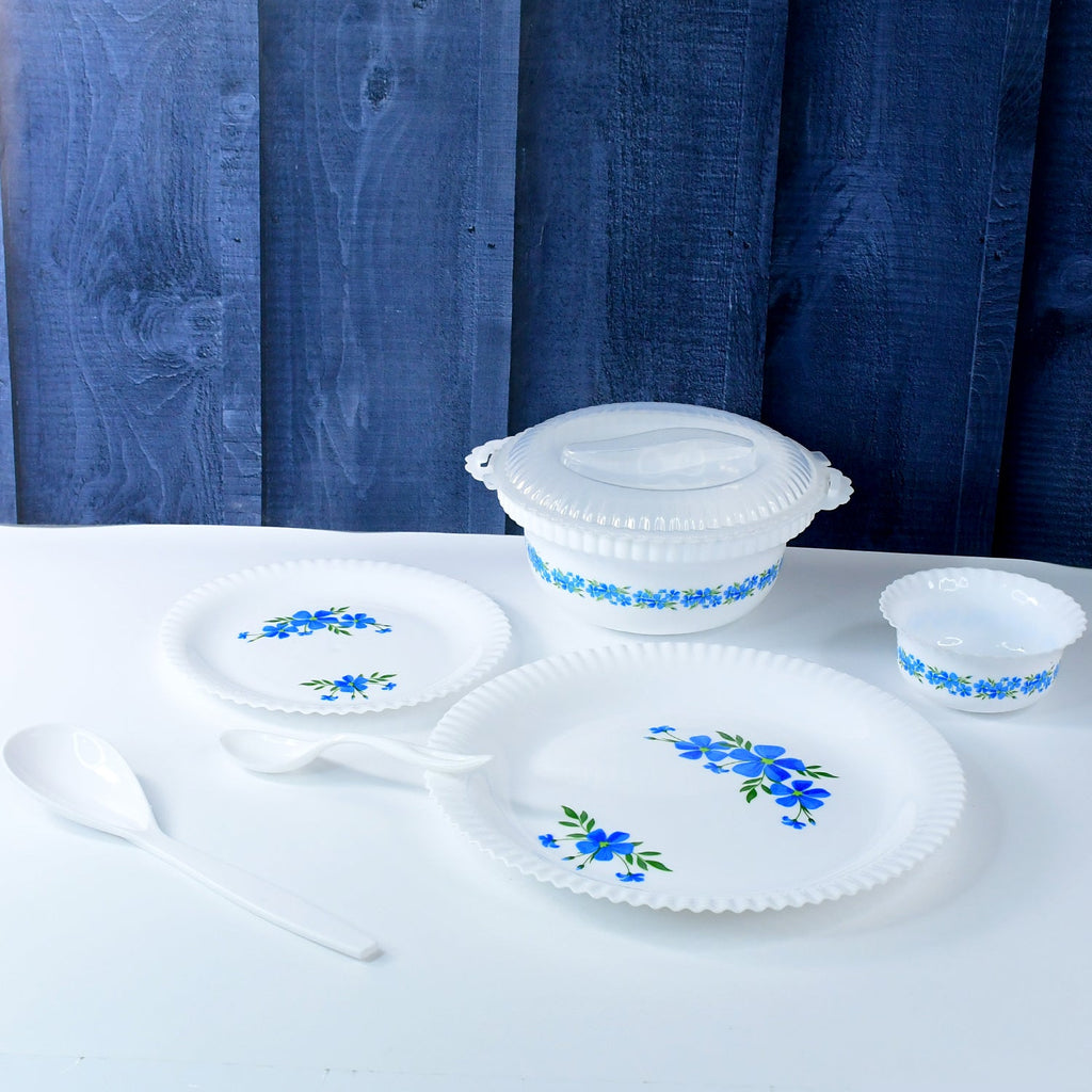 Close-up of plastic dinner plate detailing blue flower design and texture