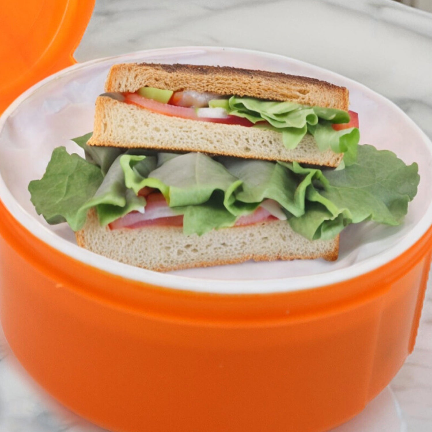 Top view of the kids lunch box, highlighting its two separated food sections.