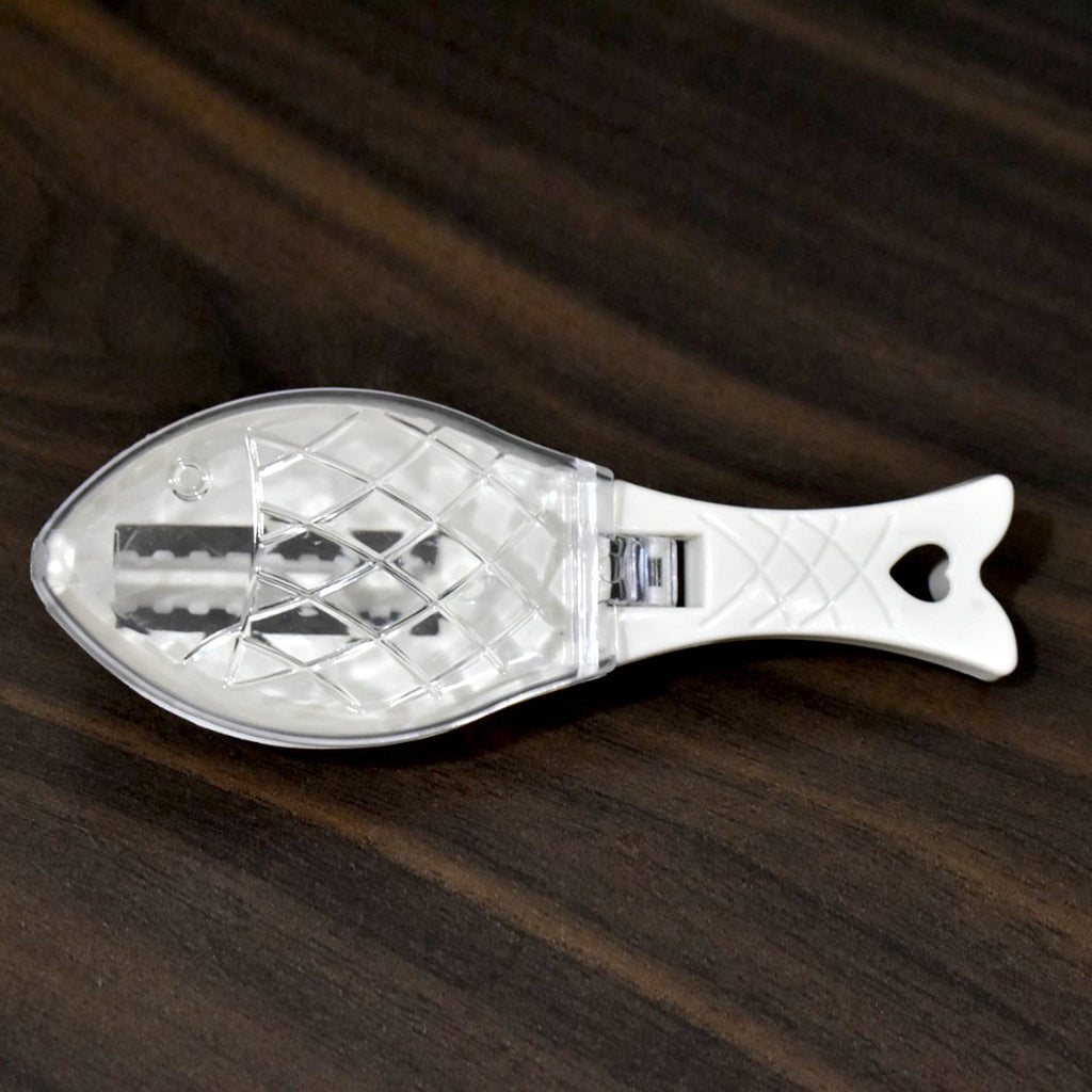 The compact Fish Scale Scraper with a hanging hole for convenient storage.