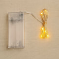 Copper wire string fairy lights with warm white 30 LED bulbs glowing beautifully.