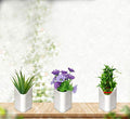 Multicolour hanging planter pot displayed against a wall, perfect for a vertical garden.