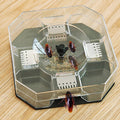 Grow Vanta Cockroach Trap Box, a non-toxic solution for pest control in Indian homes.