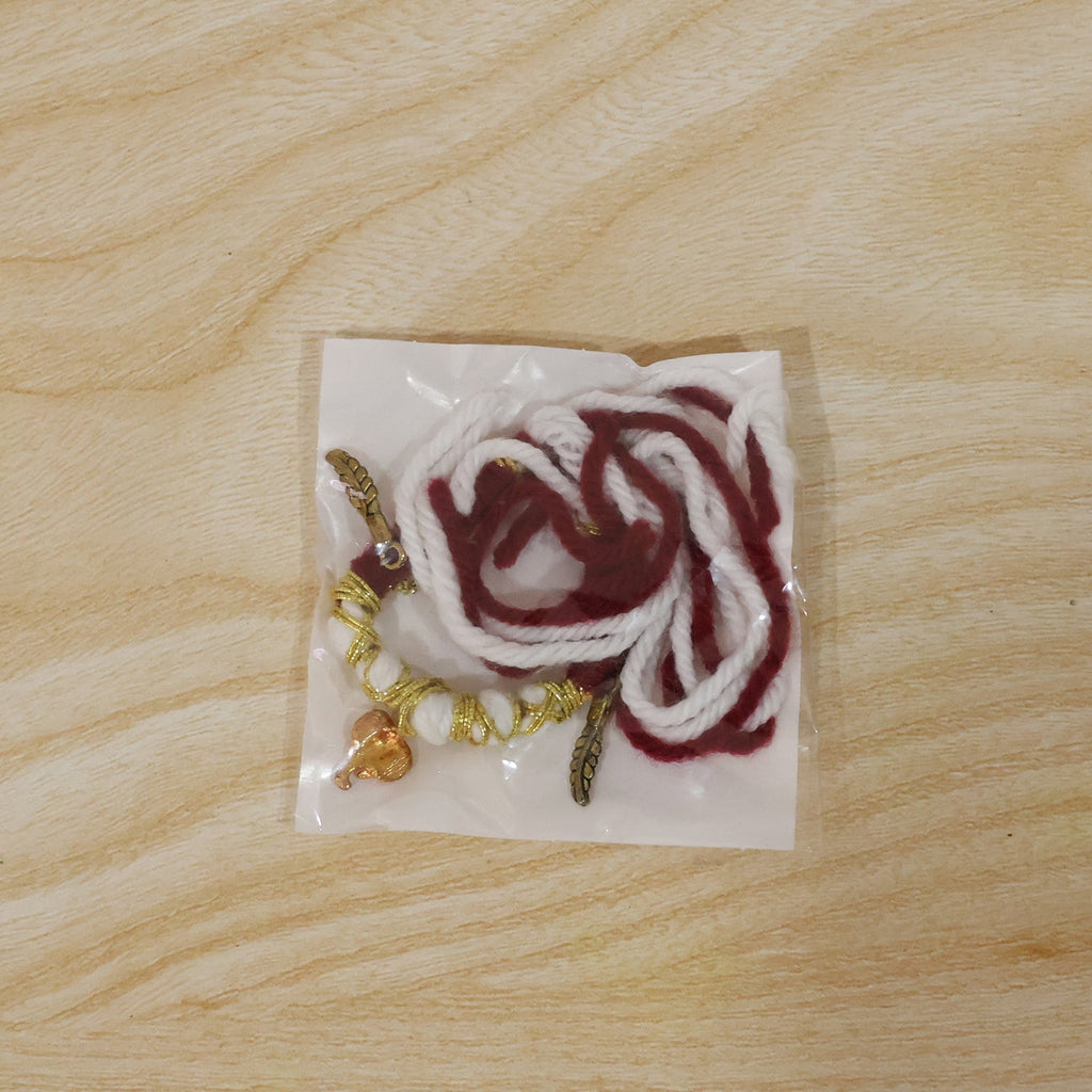 Decorative Ganesh feather rakhi on hand display