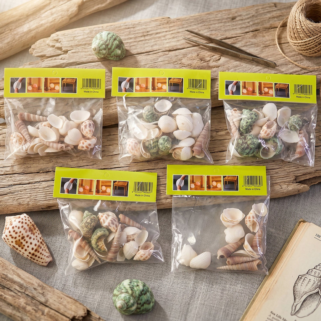 Natural marine seashells in various sizes and colours for crafts