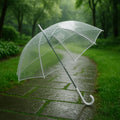 Premium transparent dome umbrella with clear PVC canopy and curved handle